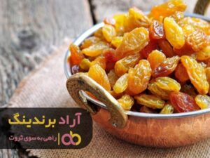 افزایش درآمدم از تولید کشمش شروع شد