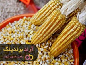 قانون های باورنکردنی جذب پول و ثروت