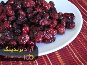 برای ثروتمند شدن در کسب وکار باید تغییر کرد