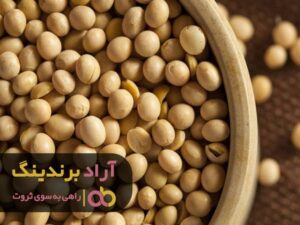 کسب و کاری که منجر به ثروت شد