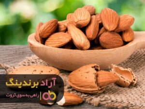 گذشت و بخشش راز ثروتمند شدن من بود