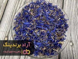لبخند ثروت زندگی ام را دگرگون کرد