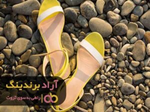 صندل به پا کردم و پا در مسیر موفقیت گذاشتم