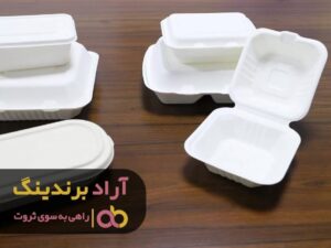 با ثروتمندان معاشرت و مشورت کردم و خودم هم ثروتمند شدم