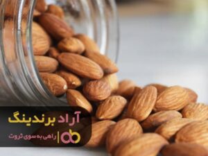 ساز زندگی ام را با ثروت کوک کردم