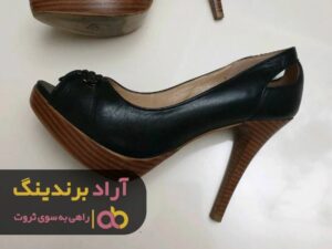 رمز موفقیتم را در کسب ثروت به شما می گویم
