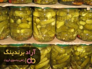 با راه ‌حلی استثنایی در کسب ‌و کار خود مدال طلا گرفتم
