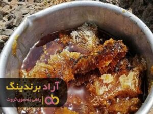 راه اندازی کارخانه ی ثروتسازی با عسل برایم امکان پذیر شد