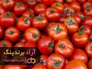 بی پولی که موجب شد من میلیاردر شوم