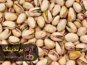 پسته کهنگی فقر را از من گرفت