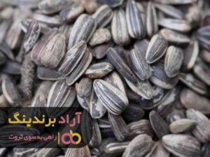 تخمه مرا به یک بانوی ثروتمند توانمند تبدیل کرد