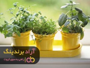مهمترین خصوصیات افراد ثروتمند چیست؟