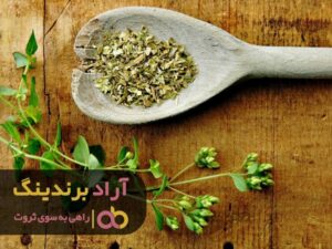 رمز موفقیت من در تولید کوکی چه بود