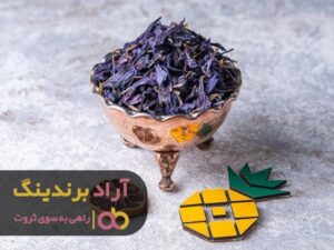 رمز رسیدن من به ثروت و موفقیت چه بود