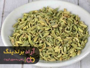 با تغییر محیط کاریم درآمدم چند برابر شد