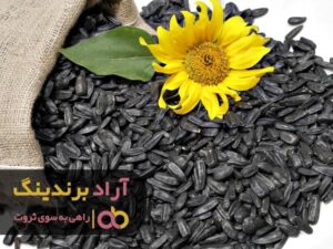 خود را بیمه ثروتم کردم