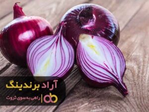 خواص آنتی باکتریال پیاز برای بدن