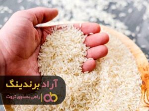 ثروتمند باشید و ولخرجی کنید