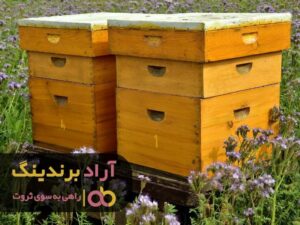 با هدف و چشم انداز از نردبان ثروت بالا روید