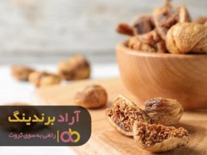 انجیرخشک پل رسیدن من به ثروت بود