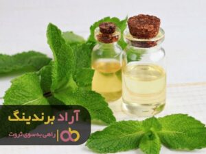 سعادتی جاودانه که با عرقیات نصیب شما خواهد شد