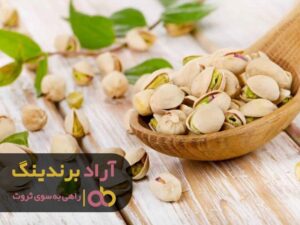 چگونه شما هم جزو ثروتمندان دنیا شوید