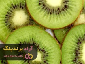 بدون ترس از شکست به ثروت فراوانی دست یافتم