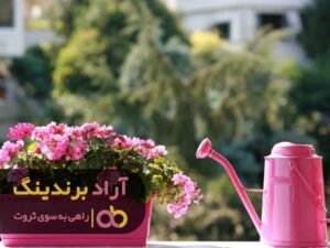 با انتخاب درستم ثروت را متعلق به خود کردم
