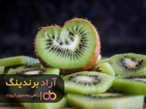 گره کور فقر را با ثروتم باز کردم