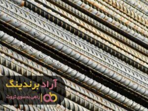ثروتم را مدیون خستگی هایم هستم
