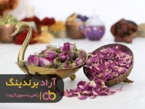 ثروتمند شدنم را مدیون زحماتم هستم