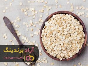 ثروت به دست آورده ام را مدیون پشتکار خود هستم