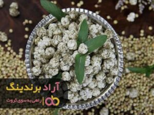 با نقل طعم ثروت را در زندگی ام چشیدم