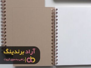 برای ثروتمند شدن از الگوی مناسبی استفاده کردم
