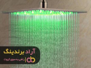 شش دانگ حواسم در جهت رسیدن به ثروت بود
