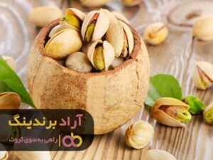 در راه رسیدن به ثروت شکست ناپذیر بودم