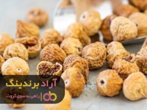با یک سرمایه ‌گذاری مناسب از بحران اقتصادی نجات یافتم