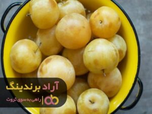 زندگی هدفمند با این محصولات جادویی