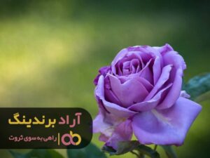 مسیر ثروتمند شدن را آسان تر بپیمایید