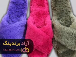 آهنربای پول و ثروت با دمپایی های خاص