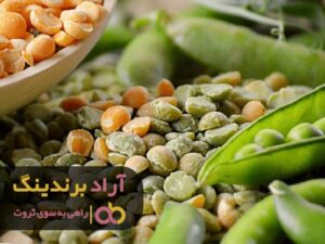 نخود رفاه مالی ‌ام را تا آخر عمر تضمین بیمه کرد
