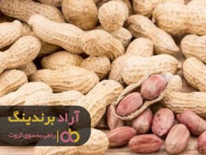 قولی که به برای موفقیت به خودم دادم