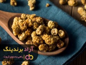با این توت منتظر بارون اسکناس باش