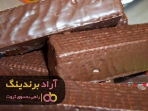 با اقدامی اصولی به طور شکست ‌ناپذیری به سمت ثروت پیش رفتم