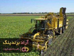 مصمم بودن در کار شما را به ثروت می رساند