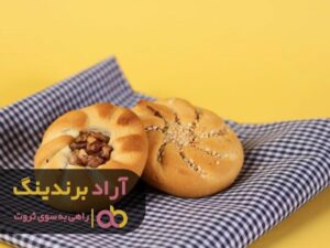 انتخاب الگو های موفق من را به ثروت رساندند