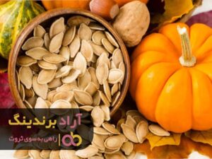 با مهارت مدیریت پول صاحب ثروت کلان شوید