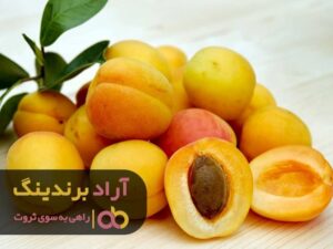 کسب ثروت با زردآلو ممکن شد