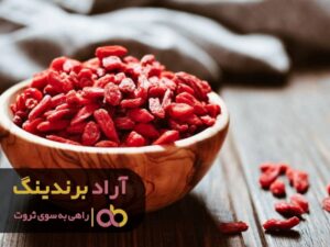 برای ثروتمند شدن هدفمند بودم