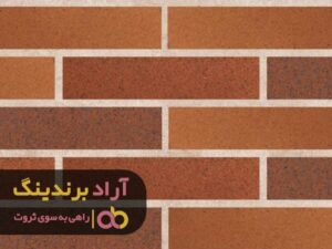 کارهایی که برای ثروتمند شد در ایران انجام دادم